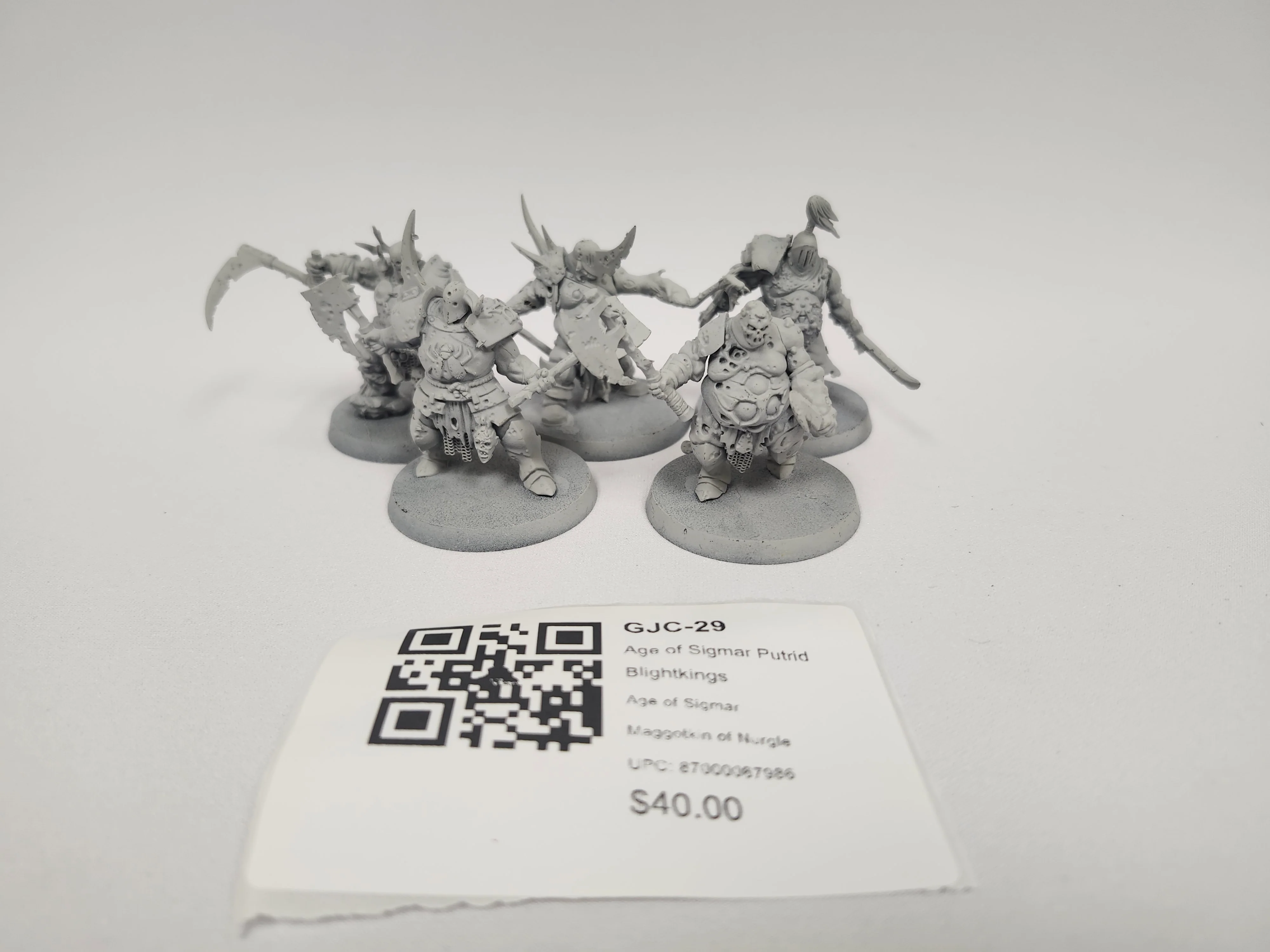 Age of Sigmar Putrid Blightkings GJC-29