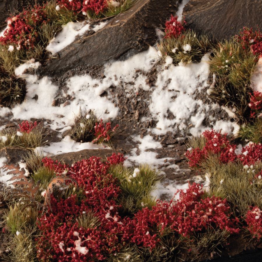 Gamers Grass: Laliguras Flowers - Image 3