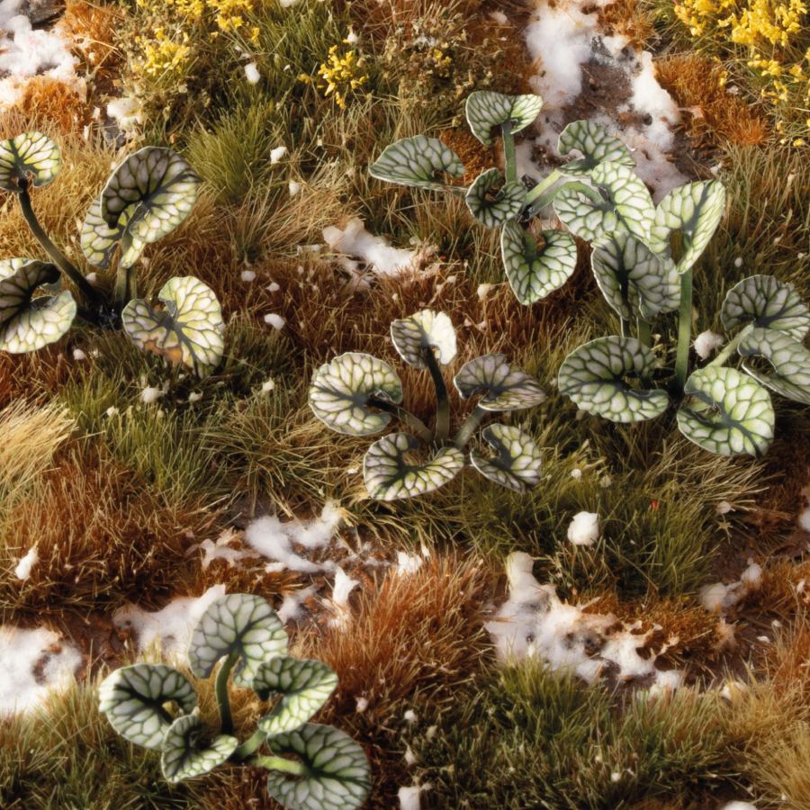 Gamers Grass: Laser Plants - Bugloss - Image 2