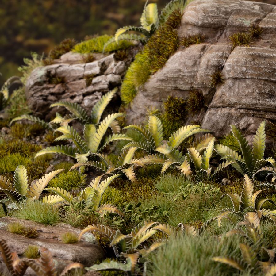Gamers Grass: Laser Plants - Deer Fern - Image 3