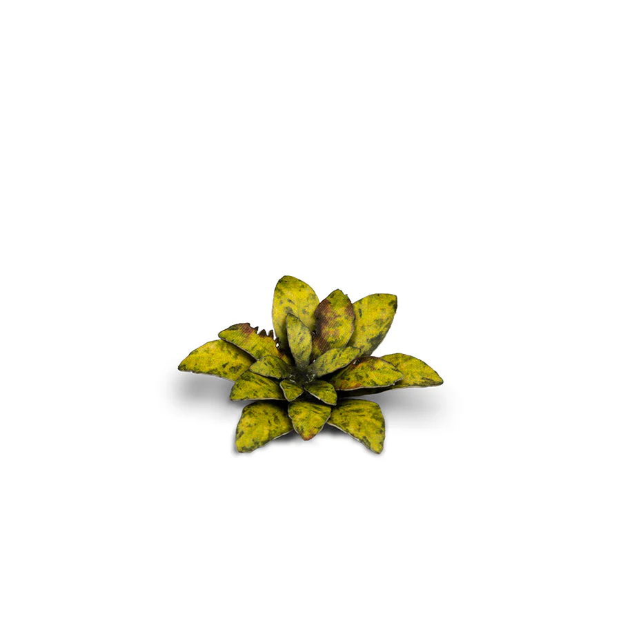 Gamers Grass: Laser Plants - Dumb Cane - Image 6