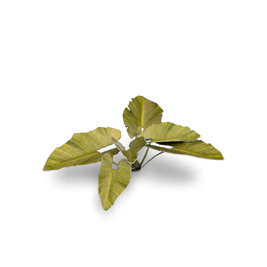Gamers Grass: Laser Plants - Elephant Ear - Image 4