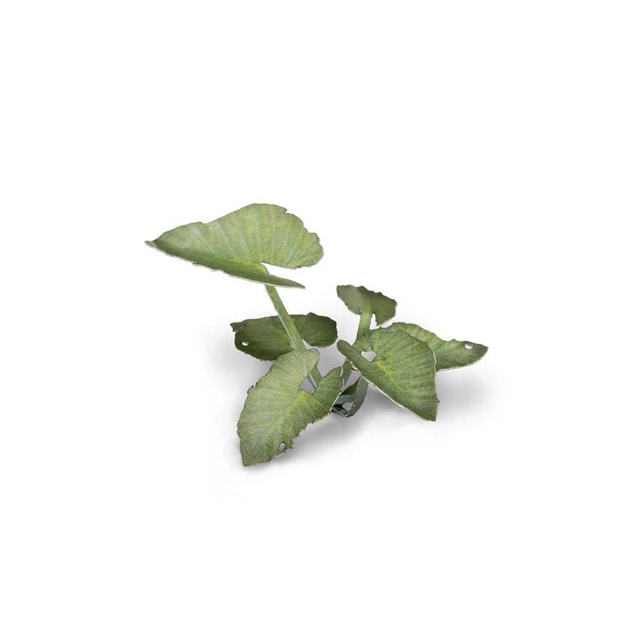 Gamers Grass: Laser Plants - Elephant Ear - Image 6