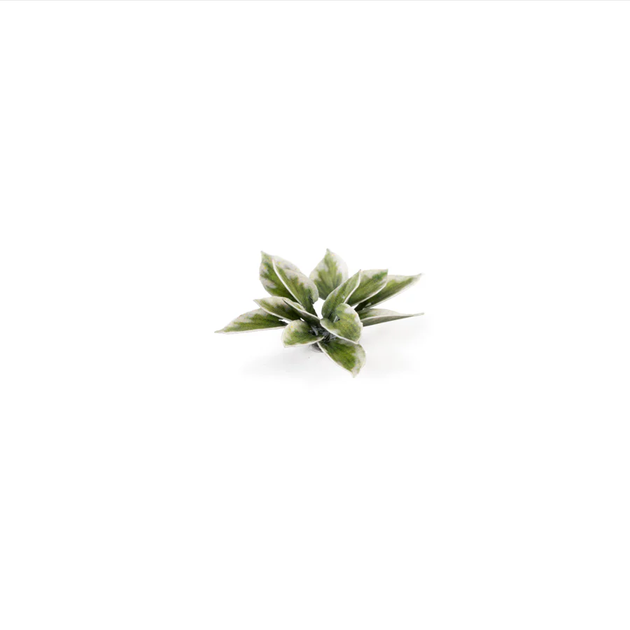 Gamers Grass: Laser Plants - Plantain Lily - Image 5