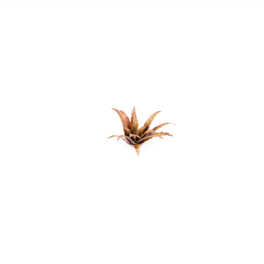 Gamers Grass: Laser Plants - Red Aloe - Image 7