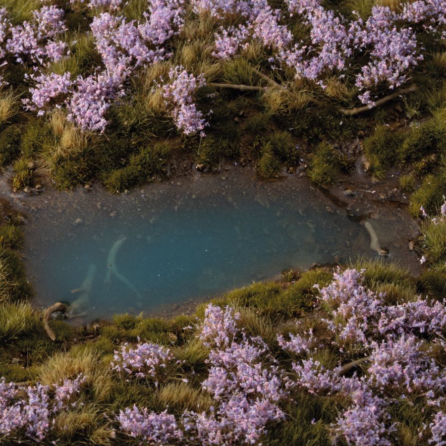 Gamers Grass: Lavender Flowers - Image 3